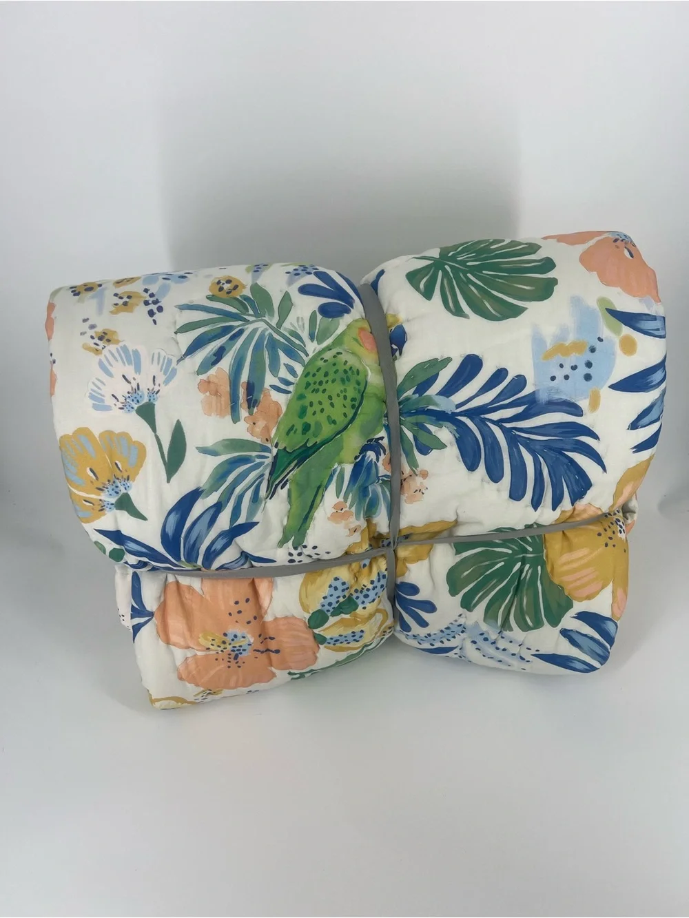 Anthropologie ellen merchant